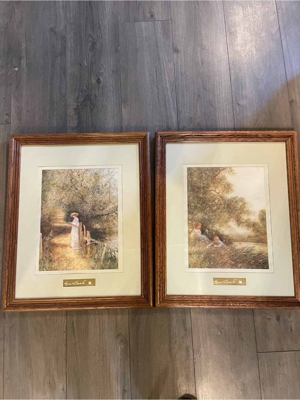 Framed Prints By Gloria Vanderbilt Collection 22.5" x 18.5" X2